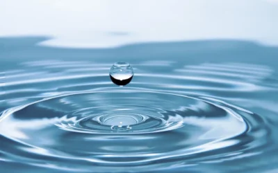 Les fuites d’eau cachées : un fléau sournois